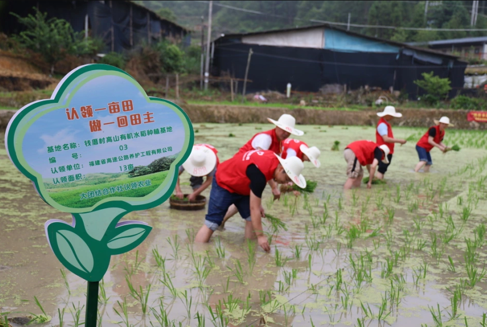 福建高速养护网 - 半岛online(中国) 福建高速养护网 - 半岛online(中国)
